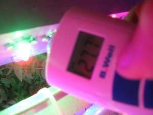 3 е тестовое измерение температуры фитолампы для растений