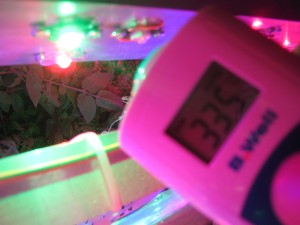 измерение температуры фитолампы для растений 2 измерение